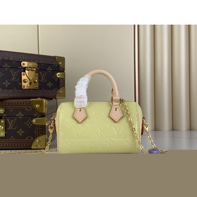LV Speedy Bags